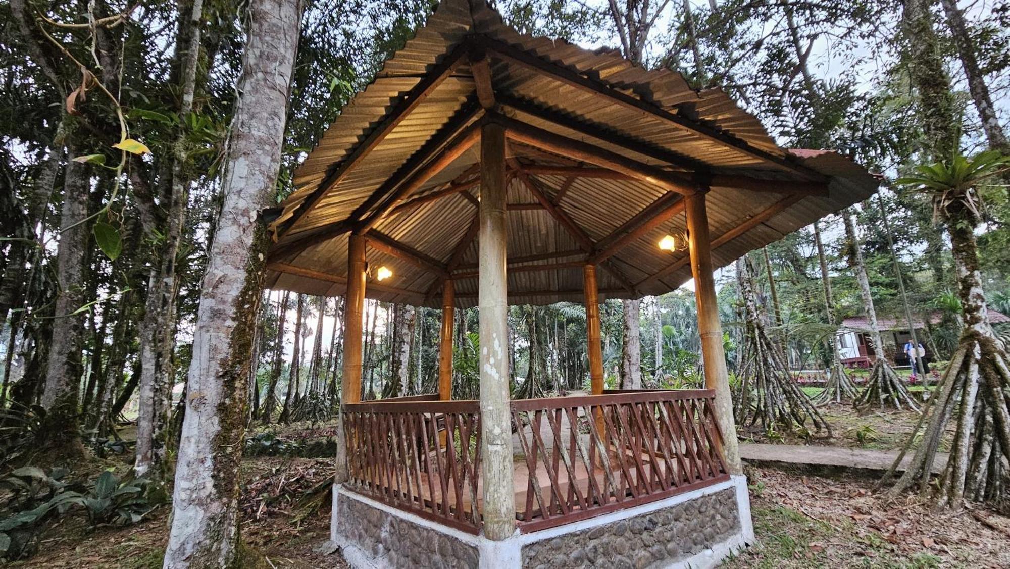 Hosteria Finca El Pigual プヨ エクステリア 写真