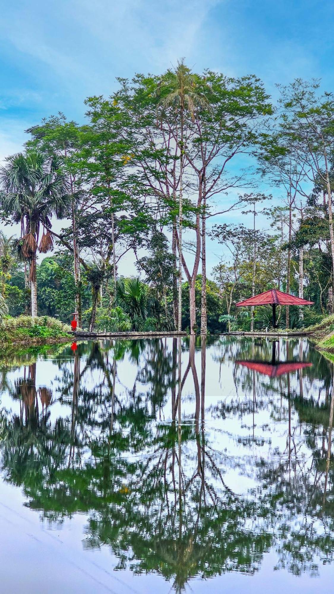 Hosteria Finca El Pigual プヨ エクステリア 写真