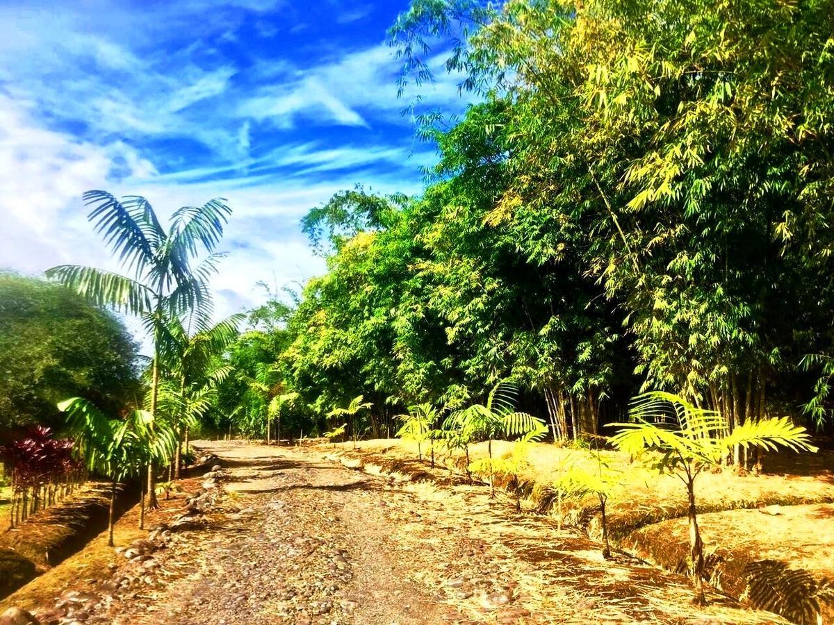 Hosteria Finca El Pigual プヨ エクステリア 写真