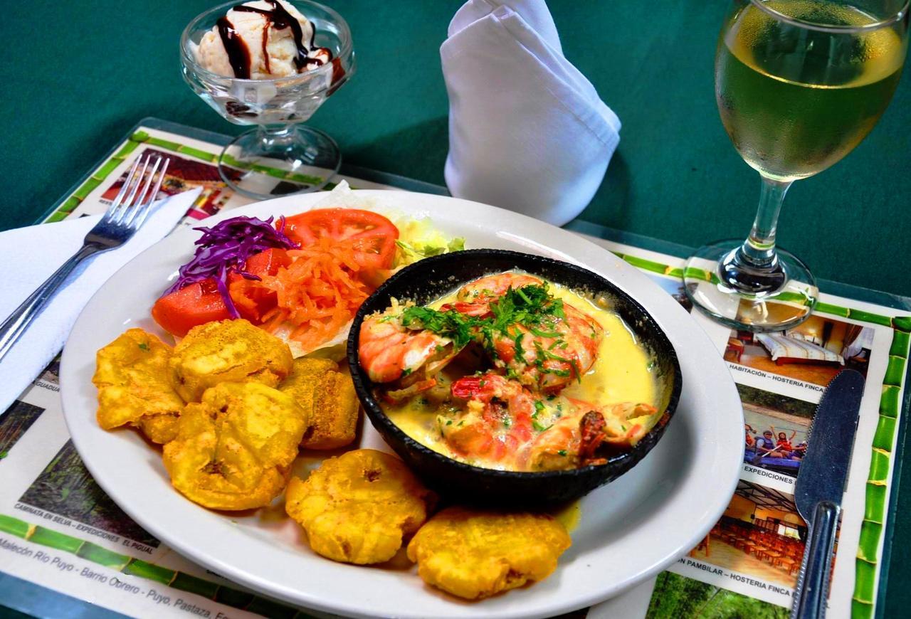 Hosteria Finca El Pigual プヨ エクステリア 写真