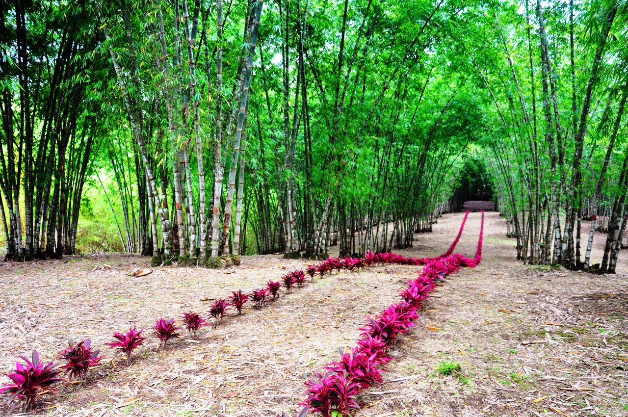 Hosteria Finca El Pigual プヨ エクステリア 写真