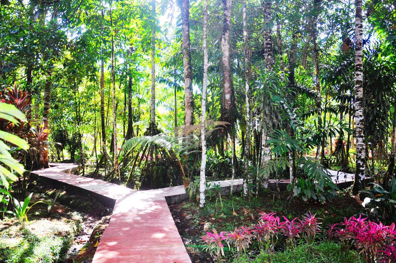 Hosteria Finca El Pigual プヨ エクステリア 写真